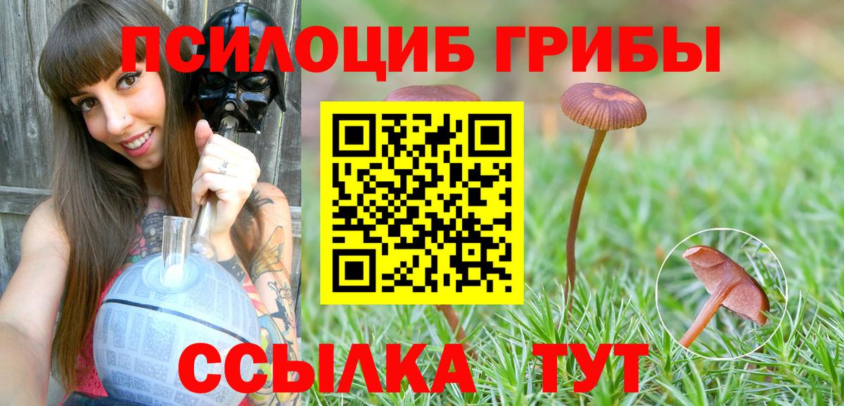 где продают   Вход с VPN  Электросталь  Псилоцибиновые грибы Psilocybine cubensis  Псилоцибиновые грибы прущие грибы 