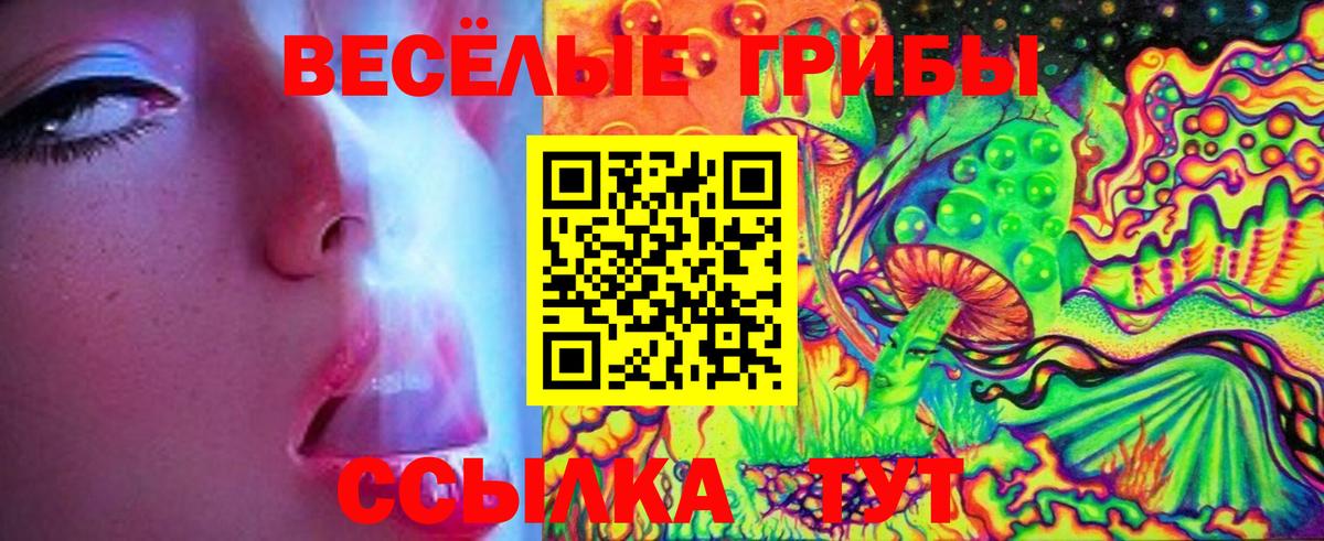 Псилоцибиновые грибы Cubensis Электросталь