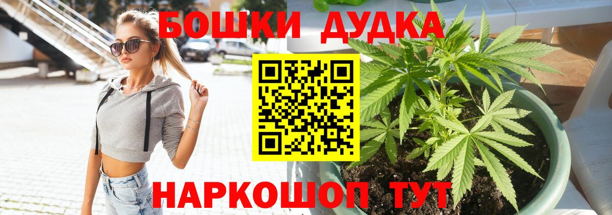 ГАШ Электросталь